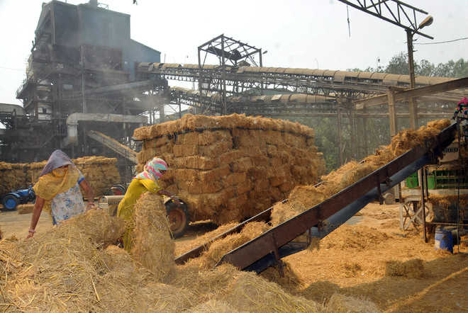 Using stubble as alternative for power generation