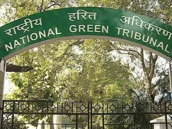 NGT acts tough on largescale tree felling in Corbett