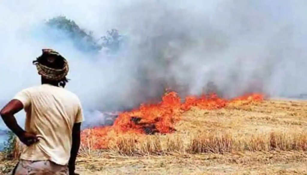 Stubble burning cases have increased in Rajasthan and Punjab