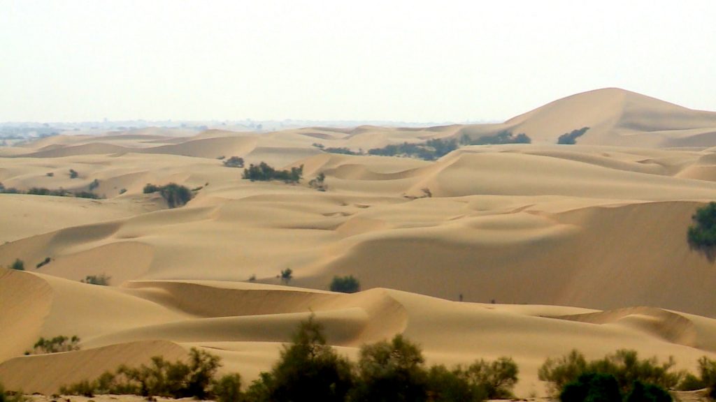 Video: Shifting sand dunes of the Thar Desert